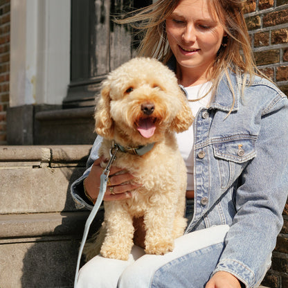 Baasje matcht met hond in denim. Hond draagt de halsband en riem van de Denim Days collectie van Jaap &amp; Co, een mooie lichtblauwe denim kleur. 