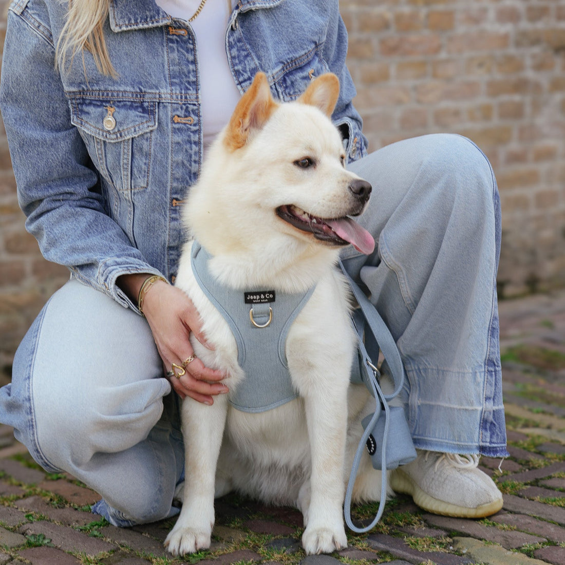 Hond matcht met zijn tuigje met baasje in denim outfit. Het tuigje is een mooie lichtblauwe denim kleur van de Jaap &amp; Co Denim Days collectie