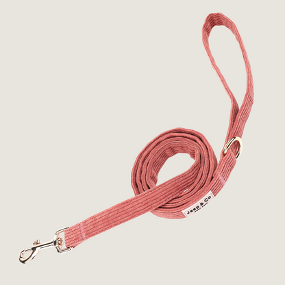 Koraalkleurige corduroy hondenriem uit de Jaap &amp; Co Golden Trails collectie, met goudkleurige metalen details en extra ring voor poepzakjeshouder, geïnspireerd op nazomerse wandelingen.