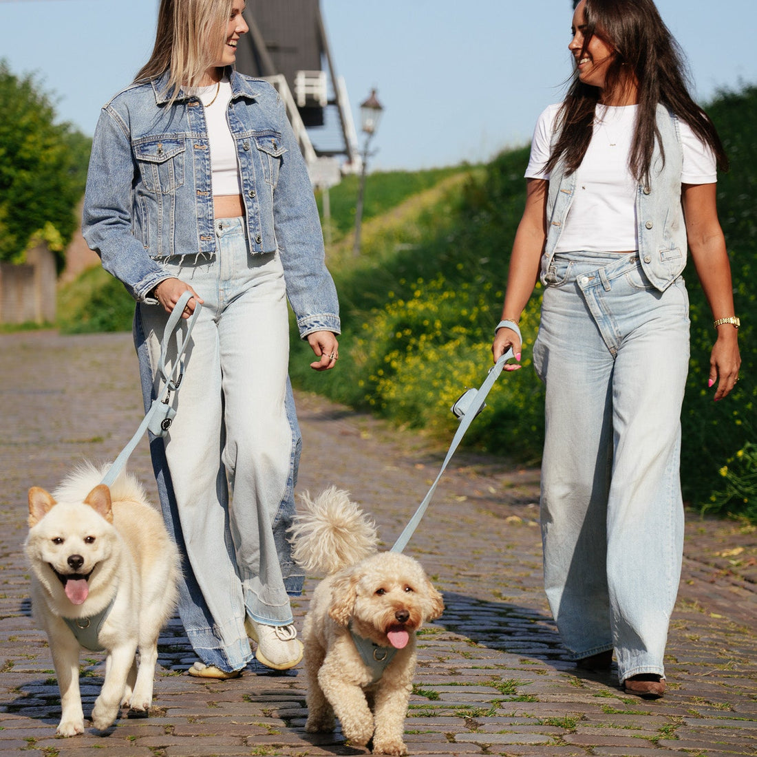 Baasjes in denim outfit lopen met honden matchend met de lichtblauwe denim tuigje, riem en poelzakjeshouder van de Jaap &amp; Co Denim Days collectie
