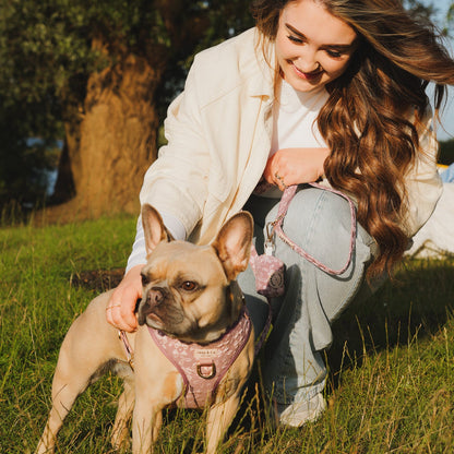Baasje met franse bulldog die draagt het Rose Dusk hondentuigje, riem en poepzakjeshouder van Jaap &amp; Co