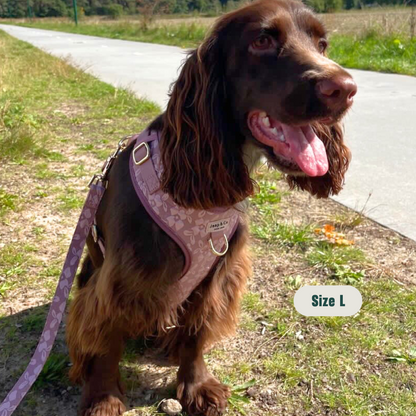 Rosé Dusk - Set Tuigje