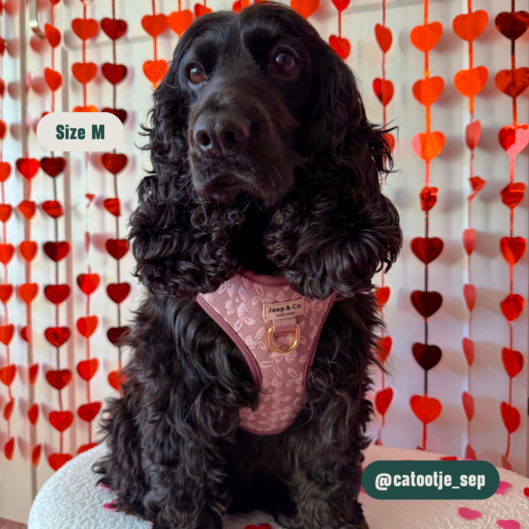 Rosé Dusk - Set Tuigje