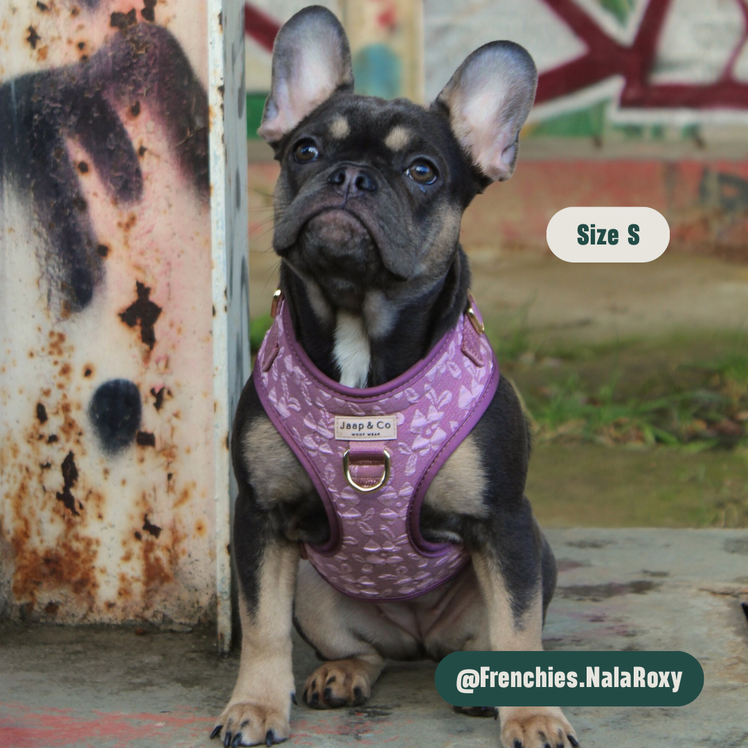 Rosé Dusk - Set Tuigje