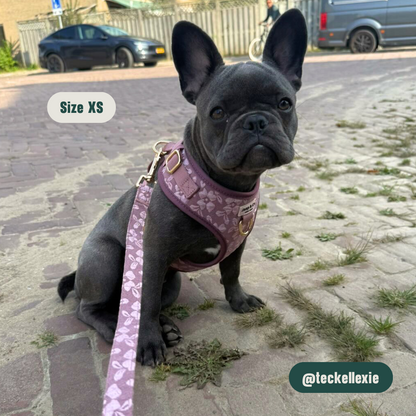 Rosé Dusk - Set Tuigje