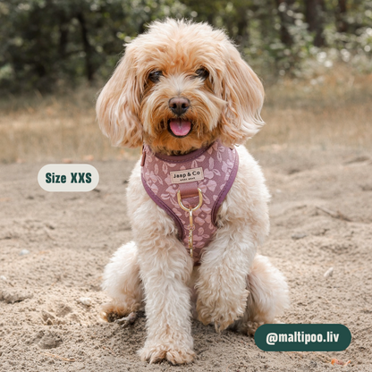 Rosé Dusk - Set Tuigje