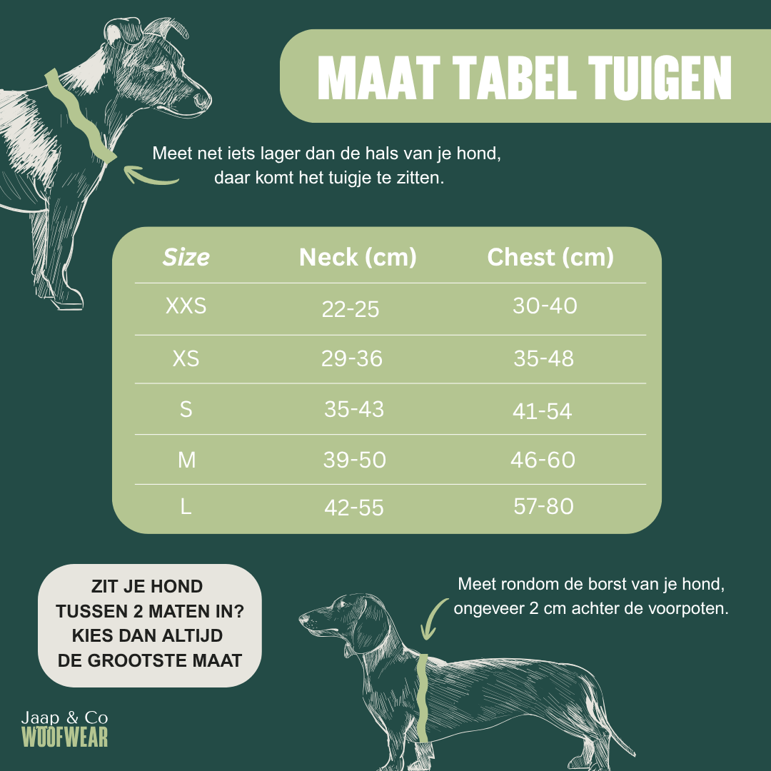 Zebra Chic - Hondentuigje
