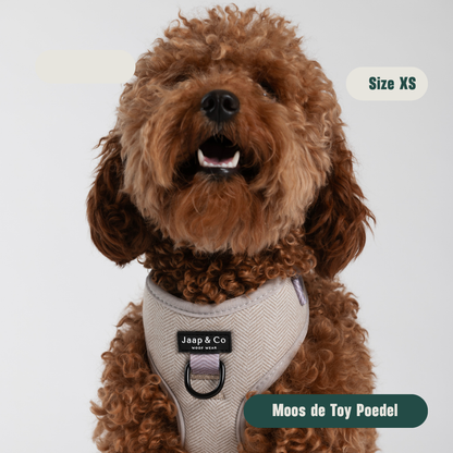 Classic Beige - Set Tuigje