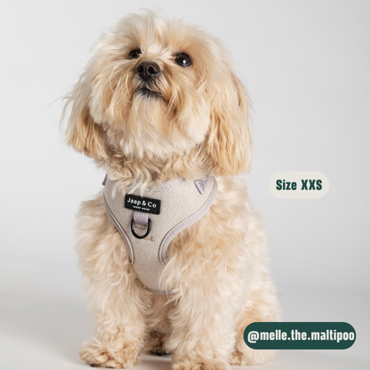 Classic Beige - Set Tuigje